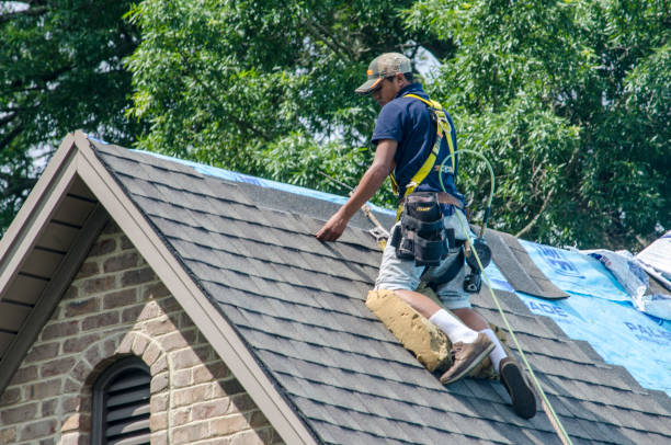 Quick and Trustworthy Emergency Roof Repair Services in Kitty Hawk, NC